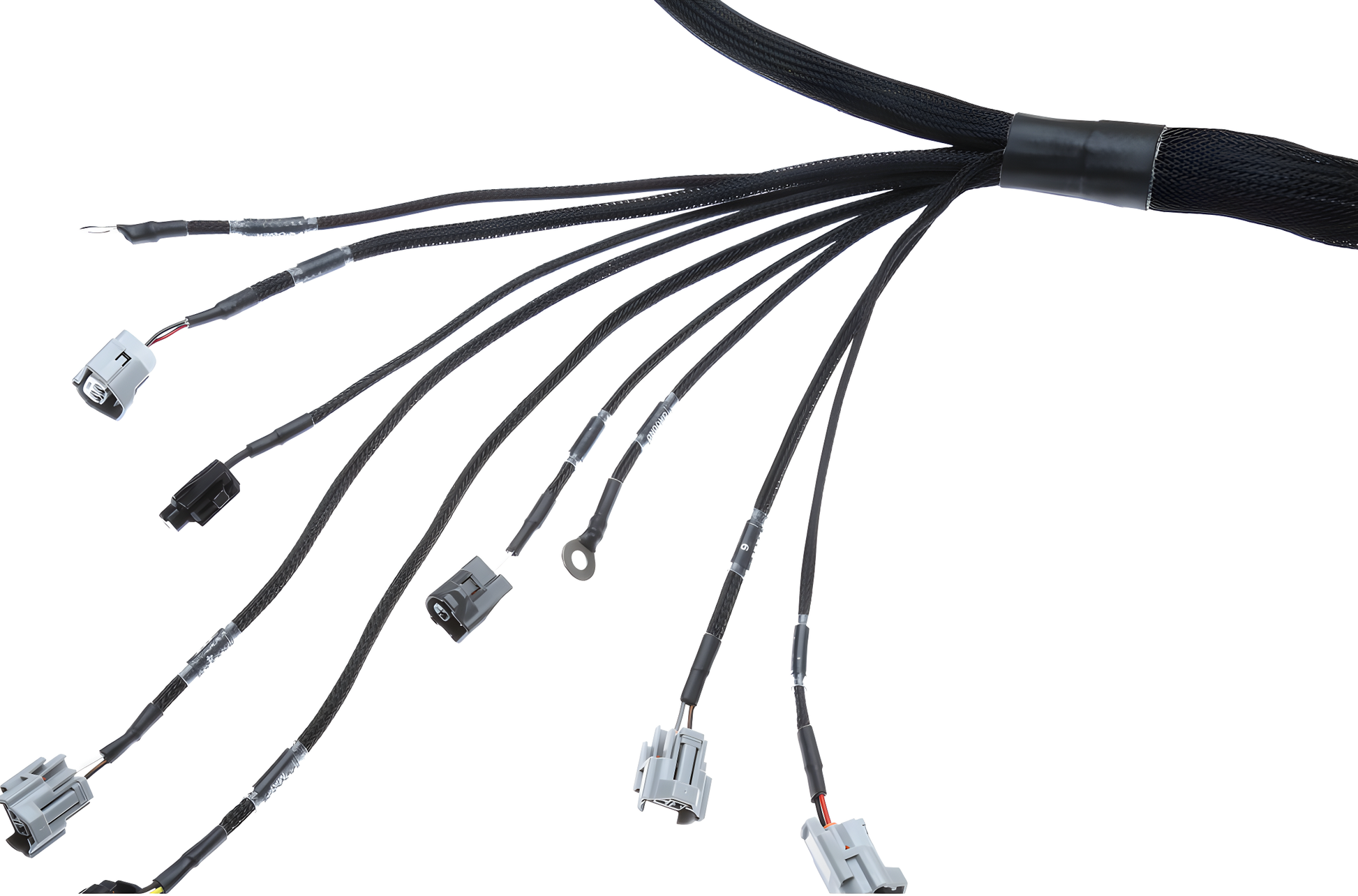 Wiring Specialties Pin Configuration - 2JZGTE / 2JZGE VVTi PRO Series Harness BMW E39 WRS-PRO2JZVVTI-E39