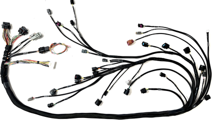 Wiring Specialties Pin Configuration - K24 PRO Series Harness for BMW E46 – CANBUS – WRS-PROK20K24-HAL-E46
