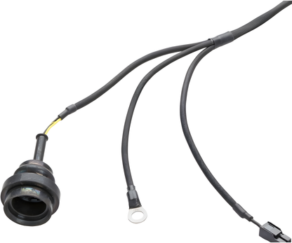 Wiring Specialties Pin Configuration - RB26DETT PRO Series Harness for Z32 300zx / Fairlady Z WRS-PRORB26-Z32