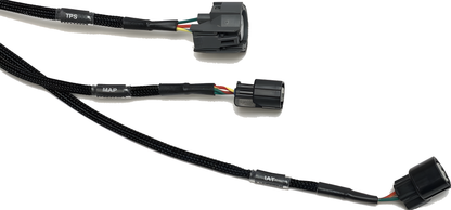 Wiring Specialties Pin Configuration - K24 PRO Series Harness for BMW E36 Swap – Part WRS-PROK20K24-E36