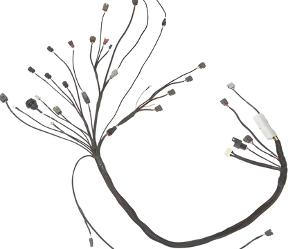 Wiring Specialties Pin Configuration - S13 SR20DET PRO Series Harness for S13 240SX - WRS-PROS13SR20-S13