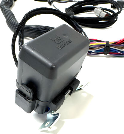 Wiring Specialties Pin Configuration - LS1 PRO Series Harness for BMW E46 – WRS-PROLS1-E46