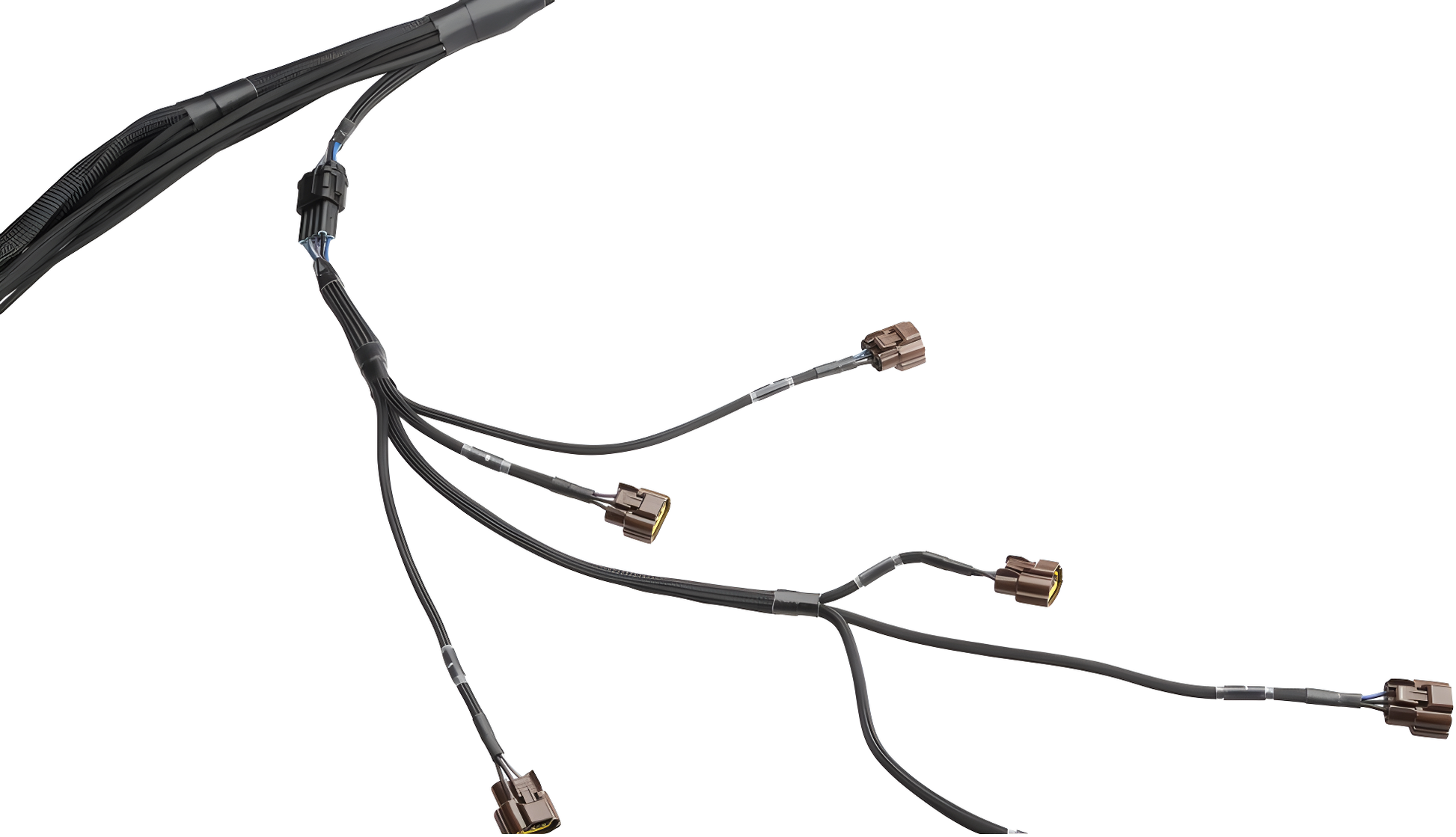 Wiring Specialties Pin Configuration - RB20DET Harness for C33 Laurel (JDM RHD) - PRO SERIES WRS-PRORB20-C33