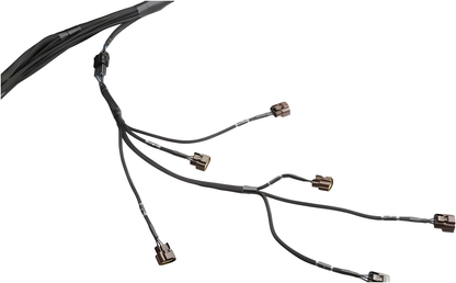 Wiring Specialties Pin Configuration - RB25DET Standalone Harness - PRO SERIES Universal WRS-PRORB25-UNI