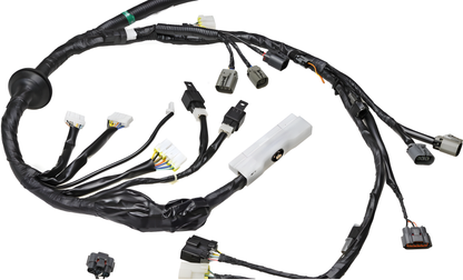 Wiring Specialties Pin Configuration - RB26DETT Engine Harness for R32 Skyline GTR - OEM Series WRS-RB26R32-MAIN