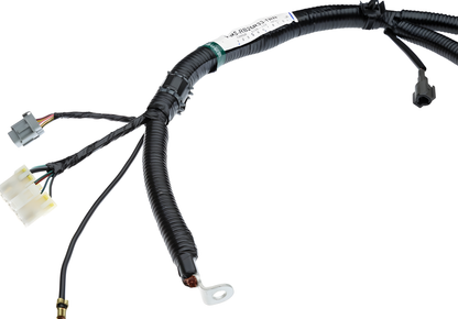Wiring Specialties Pin Configuration - RB26DETT Wiring Harness COMBO for R33 Skyline GTR OEM SERIES