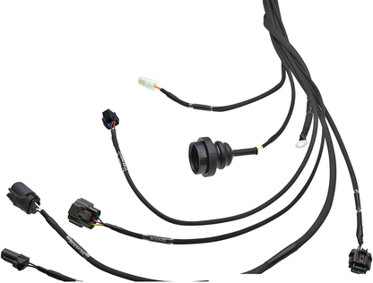 Wiring Specialties Pin Configuration - RB25DET NEO PRO Series Harness for BMW E46 – WRS-PRORB25NEO-E46