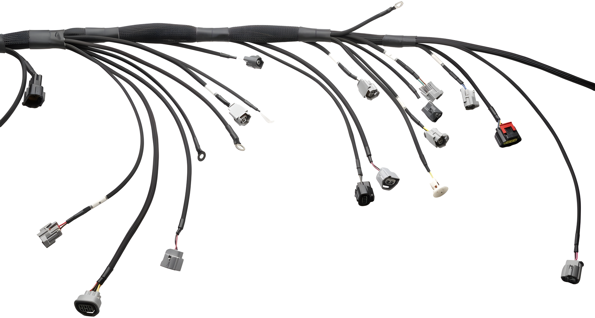 Wiring Specialties Pin Configuration - 2JZGTE PRO Series Harness for S14 RHD Silvia – WRS-PRO2JZ-S14RHD