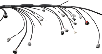 Wiring Specialties Pin Configuration - 2JZGTE PRO Series Harness for S14 RHD Silvia – WRS-PRO2JZ-S14RHD