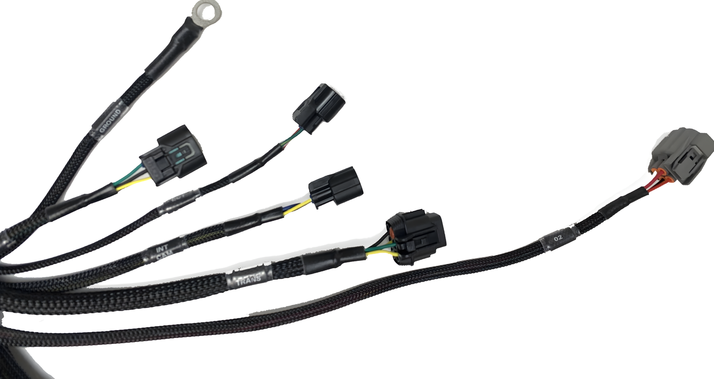 Wiring Specialties Pin Configuration - K24 PRO Series Harness for S14 240SX - WRS-PROK20K24-S14