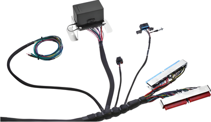 Wiring Specialties Pin Configuration - LS1 PRO Series Harness Universal WRS-PROLS1-UNI
