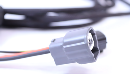 Wiring Specialties Plug Complete - SR20DET Plug and Play Fuel Pump Relay Kit R34 WRS-R34-FPK