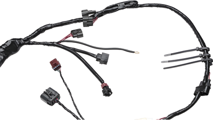 Wiring Specialties Pro Assembly - SR20DET PRO Series Harness for S13 240SX – WRS-S13S13-MAIN