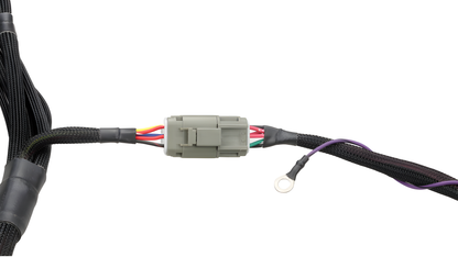 Wiring Specialties Pro Assembly - S14 SR20DET PRO Series Harness R32 Skyline GTS WRS-PROS14SR20-R32GTS