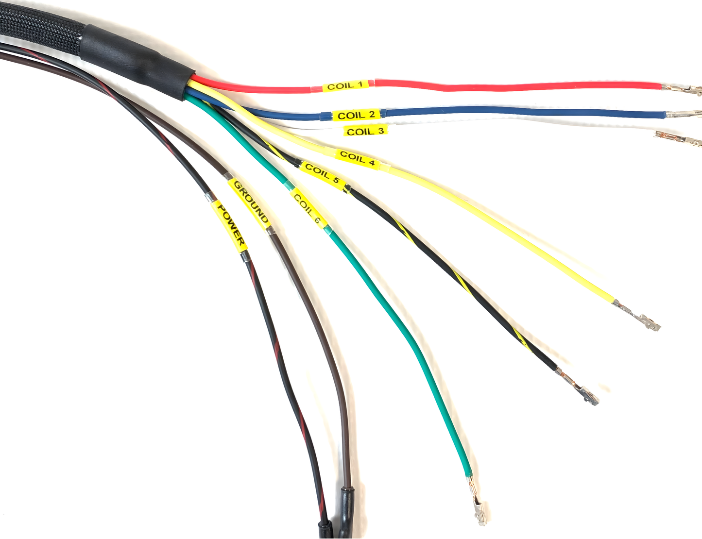 Wiring Specialties Pro Assembly - KA24DE Smart Coil Conversion Harness for S14 PRO Series