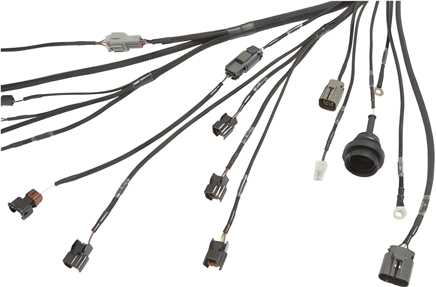 Wiring Specialties Pro Assembly - SR20DET Harness for S13 Silvia / 180sx (RHD JDM) - PRO SERIES WRS-PROS14SR20-S13RHD