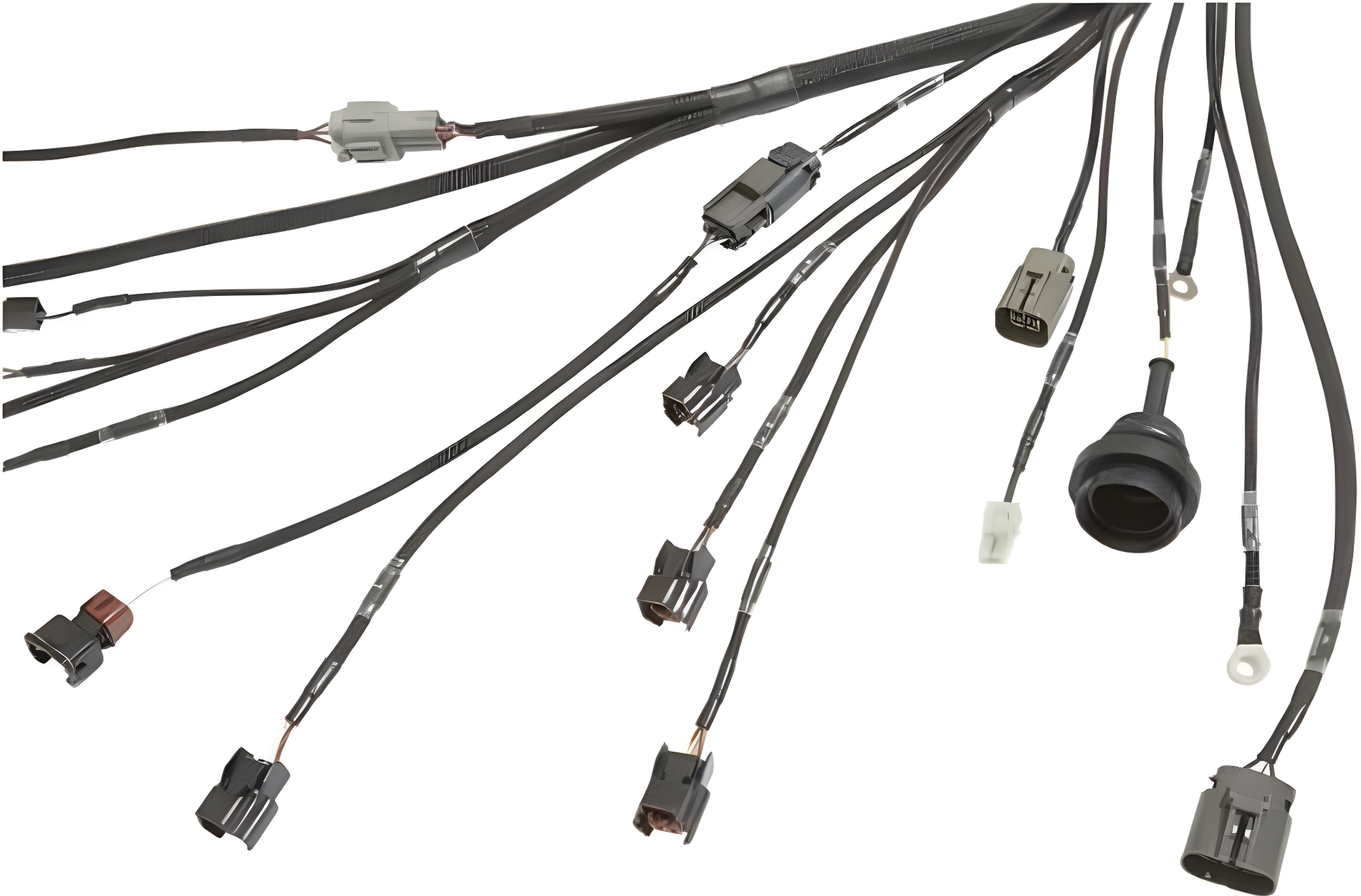 Wiring Specialties Pro Assembly - SR20DET Harness for S13 Silvia / 180sx (RHD JDM) - PRO SERIES WRS-PROS14SR20-S13RHD