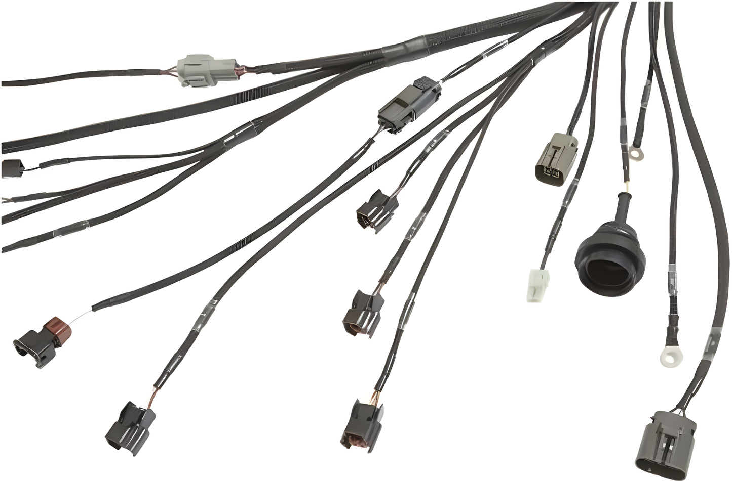 Wiring Specialties Pro Complete - SR20DET S13 PRO Series Harness WRS-PROS13SR20-DAT