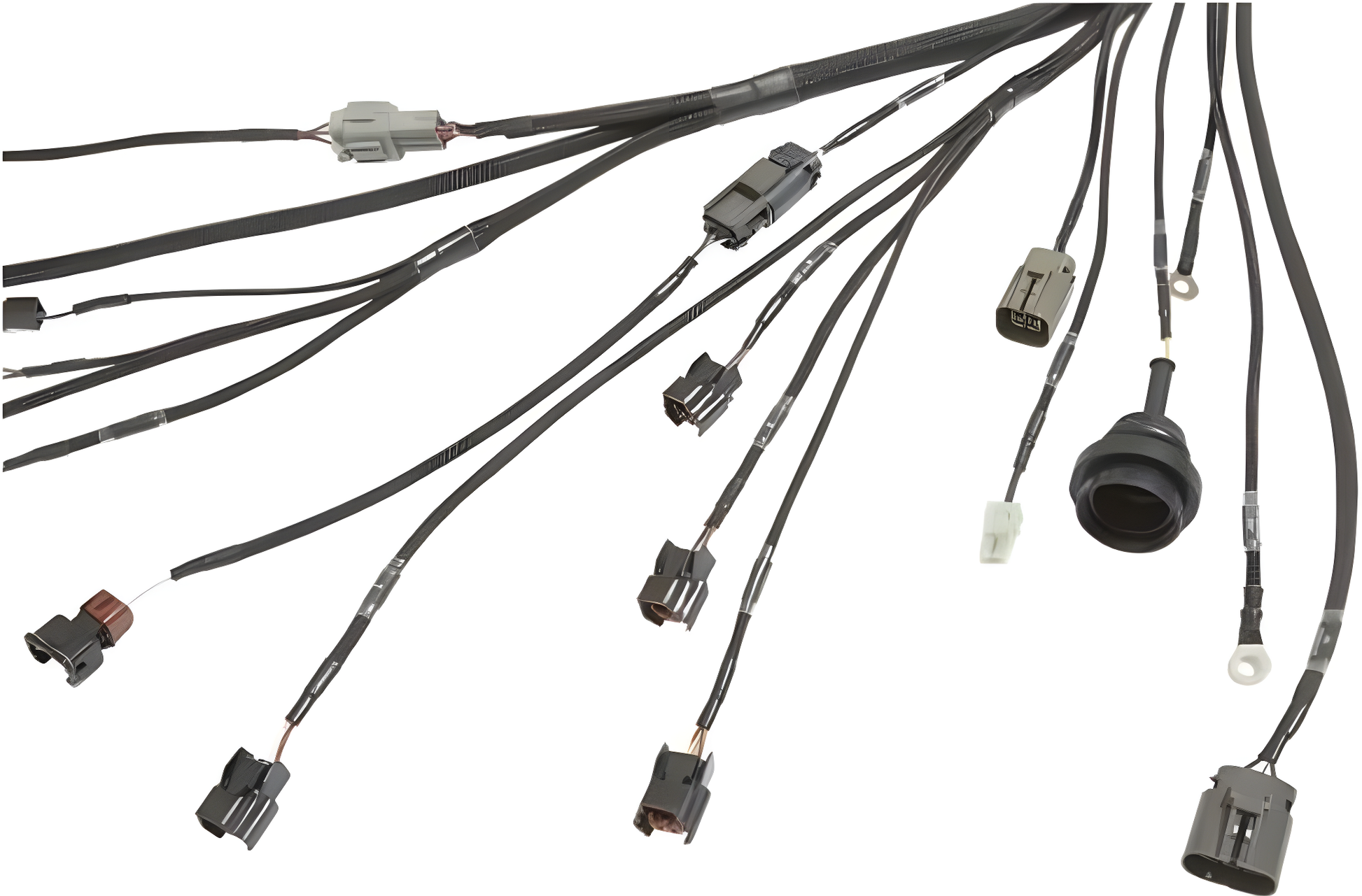 Wiring Specialties Pro Complete - SR20DET S13 PRO Series Harness WRS-PROS13SR20-DAT