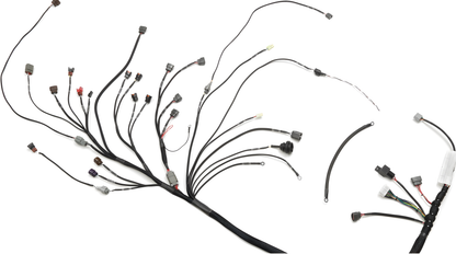 Wiring Specialties Pro Complete - SR20DET PRO Series Harness S14 WRS-PROS14SR20-S14EURO