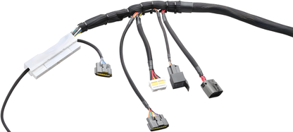 Wiring Specialties Pro Complete - RB26DETT PRO Series Harness for S14 200SX LHD EURO – WRS-PRORB26-S14EURO