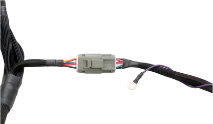 Wiring Specialties Pro Complete - SR20DET PRO Series Harness for S13 200sx (LHD EURO) - WRS-PROS14SR20-200SX