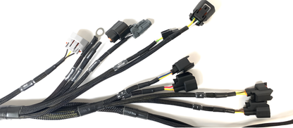 Wiring Specialties Pro Front - K24 PRO Series Harness BMW E30 WRS-PROK20K24-E30