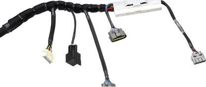 Wiring Specialties Pro Front - RB20DET Harness for C33 Laurel (JDM RHD) - PRO SERIES WRS-PRORB20-C33