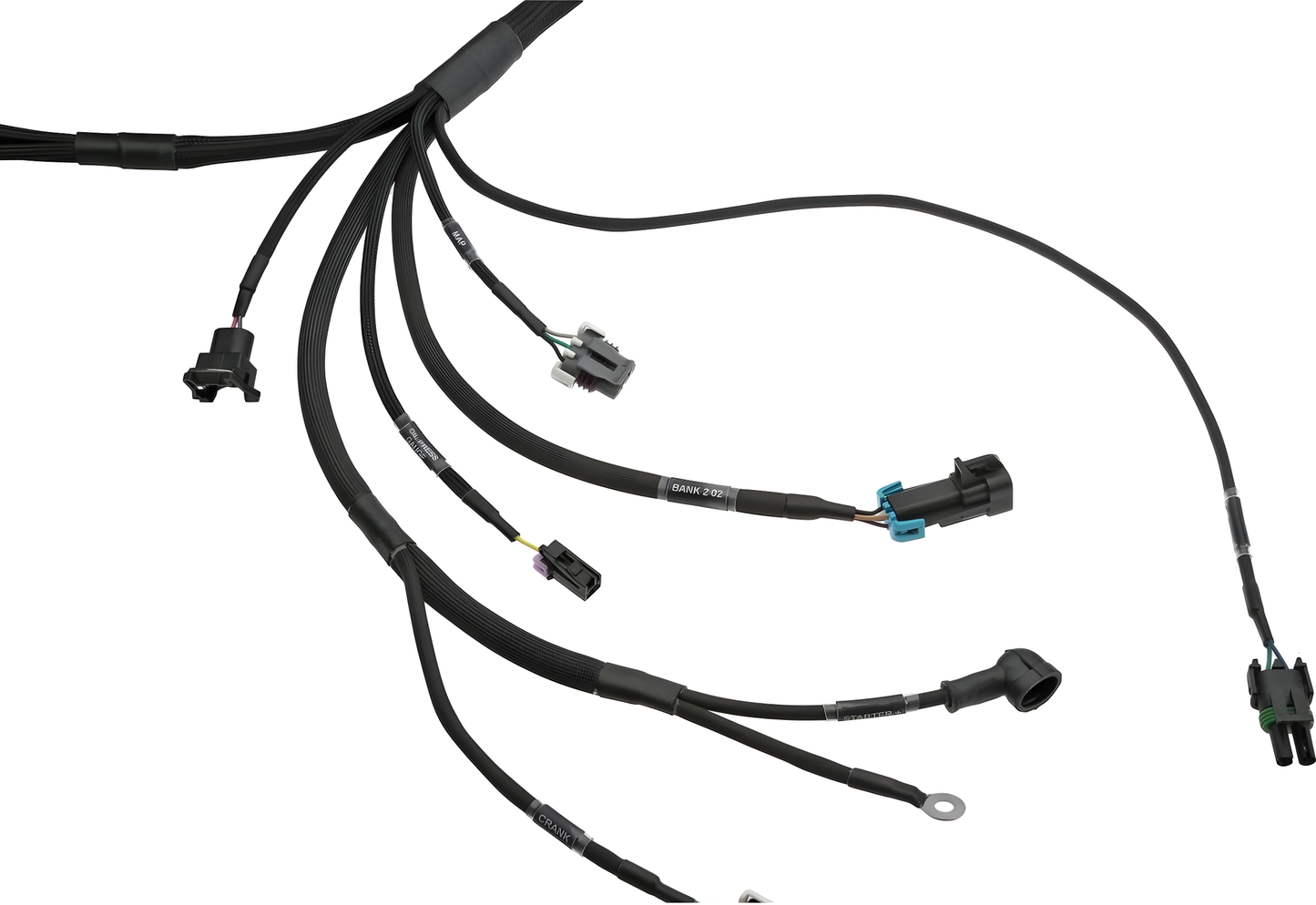 Wiring Specialties Pro Front - LSx Gen IV DBC Wiring Harness for 300zx / Fairlady Z32 - PRO SERIES WRS-PROLSXG4-Z32