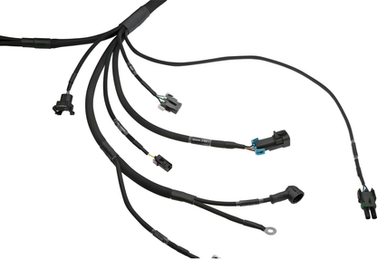 Wiring Specialties Pro Front - LSx Gen IV DBC Wiring Harness for 300zx / Fairlady Z32 - PRO SERIES WRS-PROLSXG4-Z32