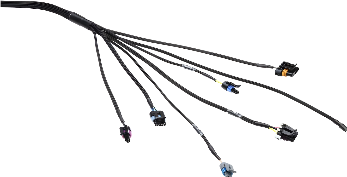 Wiring Specialties Pro Front - LS1 / Vortec PRO Series Harness for Datsun WRS-PROLS1-DAT