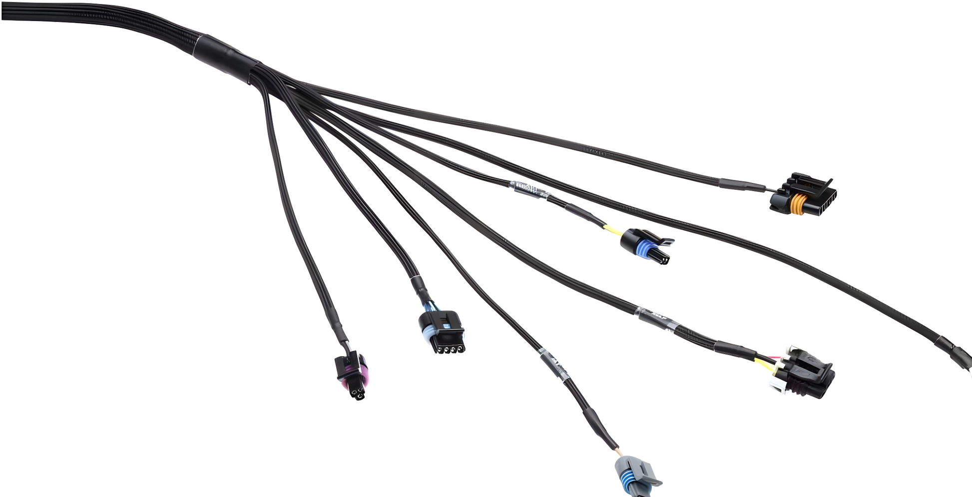Wiring Specialties Pro Front - LS1 / Vortec PRO Series Harness for Datsun WRS-PROLS1-DAT
