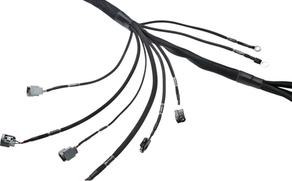 Wiring Specialties Pro Front - 1JZGTE VVTi Harness for BMW E39 PRO Series WRS-PRO1JZVVTI-E39