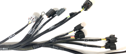 Wiring Specialties Pro Front - K24 PRO Series Harness for Z32 300ZX Swap Part WRS-PROK20K24-Z32