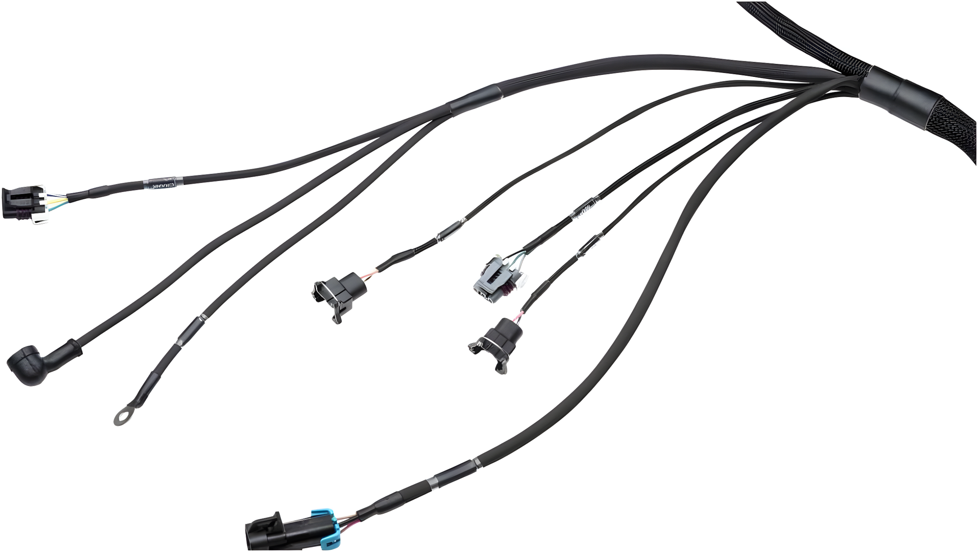 Wiring Specialties Pro Front - LS1 PRO Series Harness Universal WRS-PROLS1-UNI
