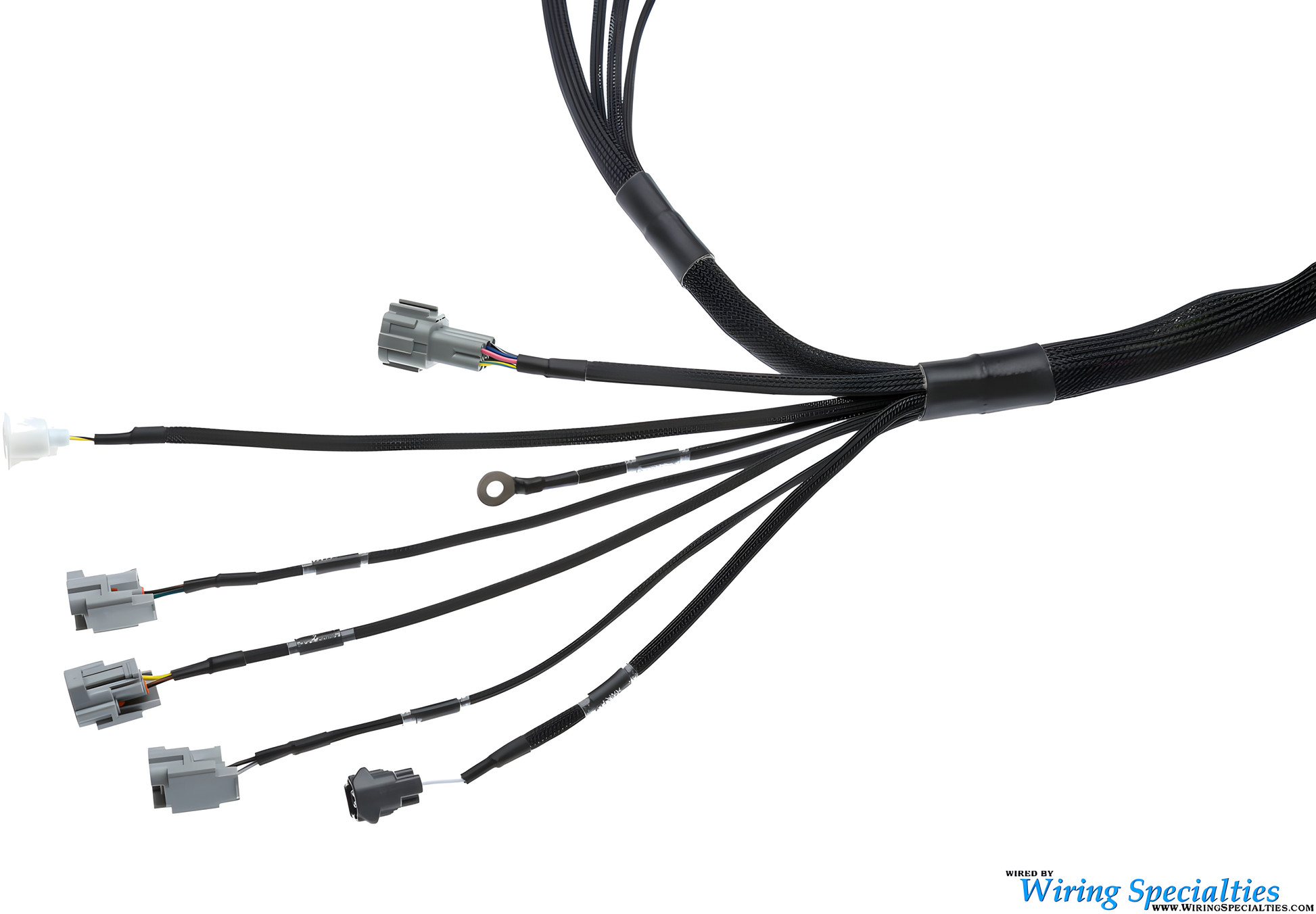 Wiring Specialties Pro Front - 1JZGTE VVTi PRO Series Harness for 300ZX Z32 – Part WRS-PRO1JZVVTI-Z32