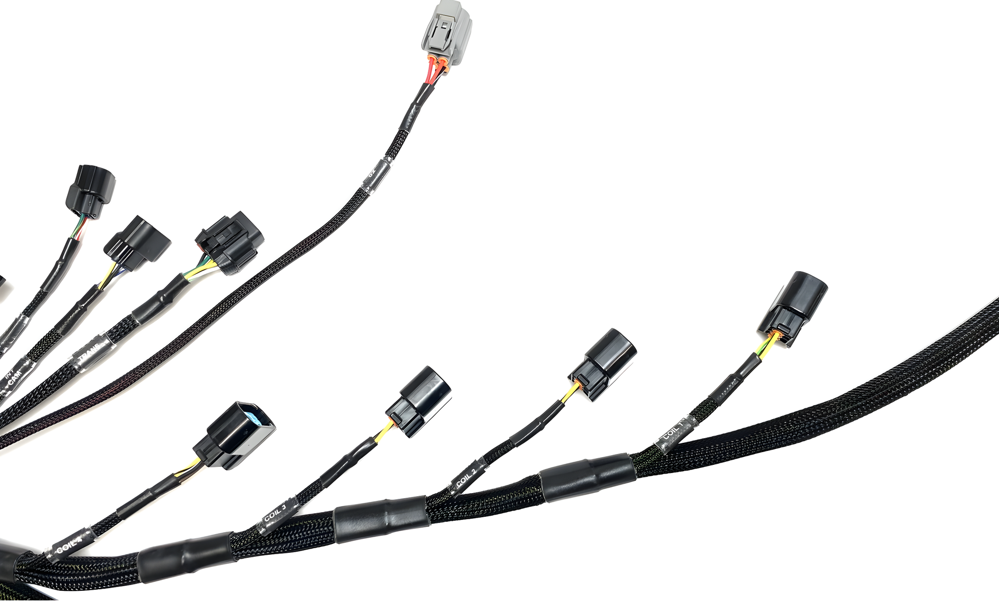 Wiring Specialties Pro Front - K24 PRO Series Harness BMW E46 WRS-PROK20K24-E46