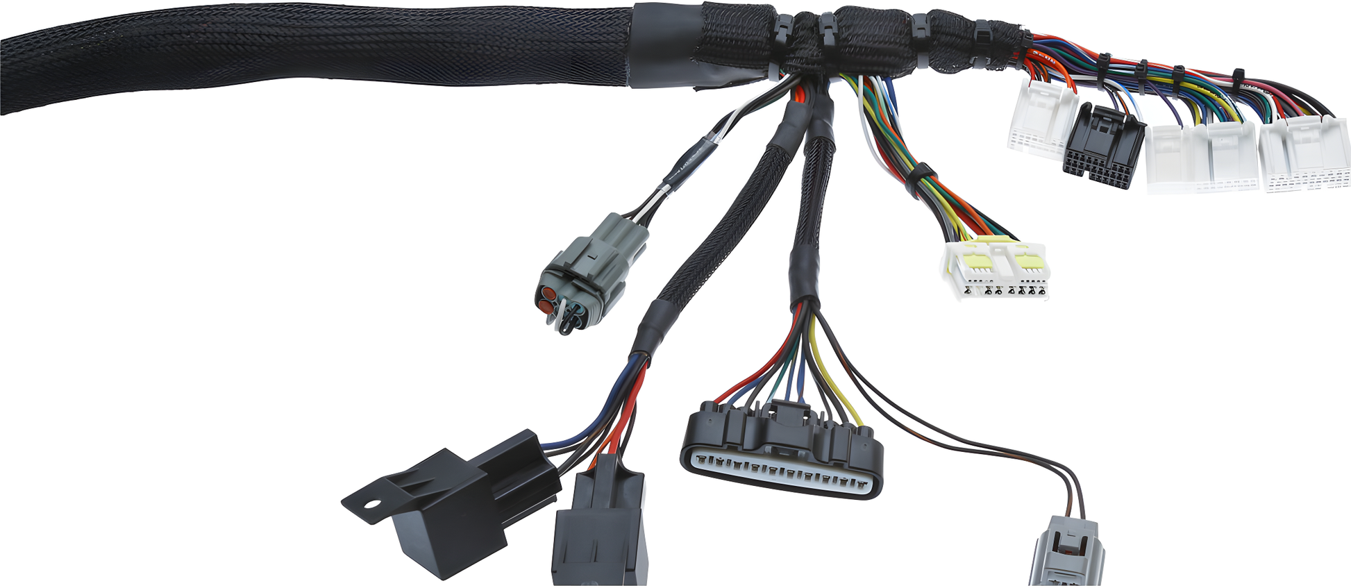Wiring Specialties Pro Front - 2JZGTE / 2JZGE VVTi PRO Series Harness BMW E39 WRS-PRO2JZVVTI-E39
