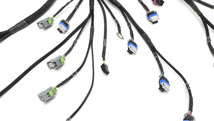 Wiring Specialties Pro Front - LS3 Gen IV Harness for Datsun - PRO SERIES WRS-PROLS3-DAT