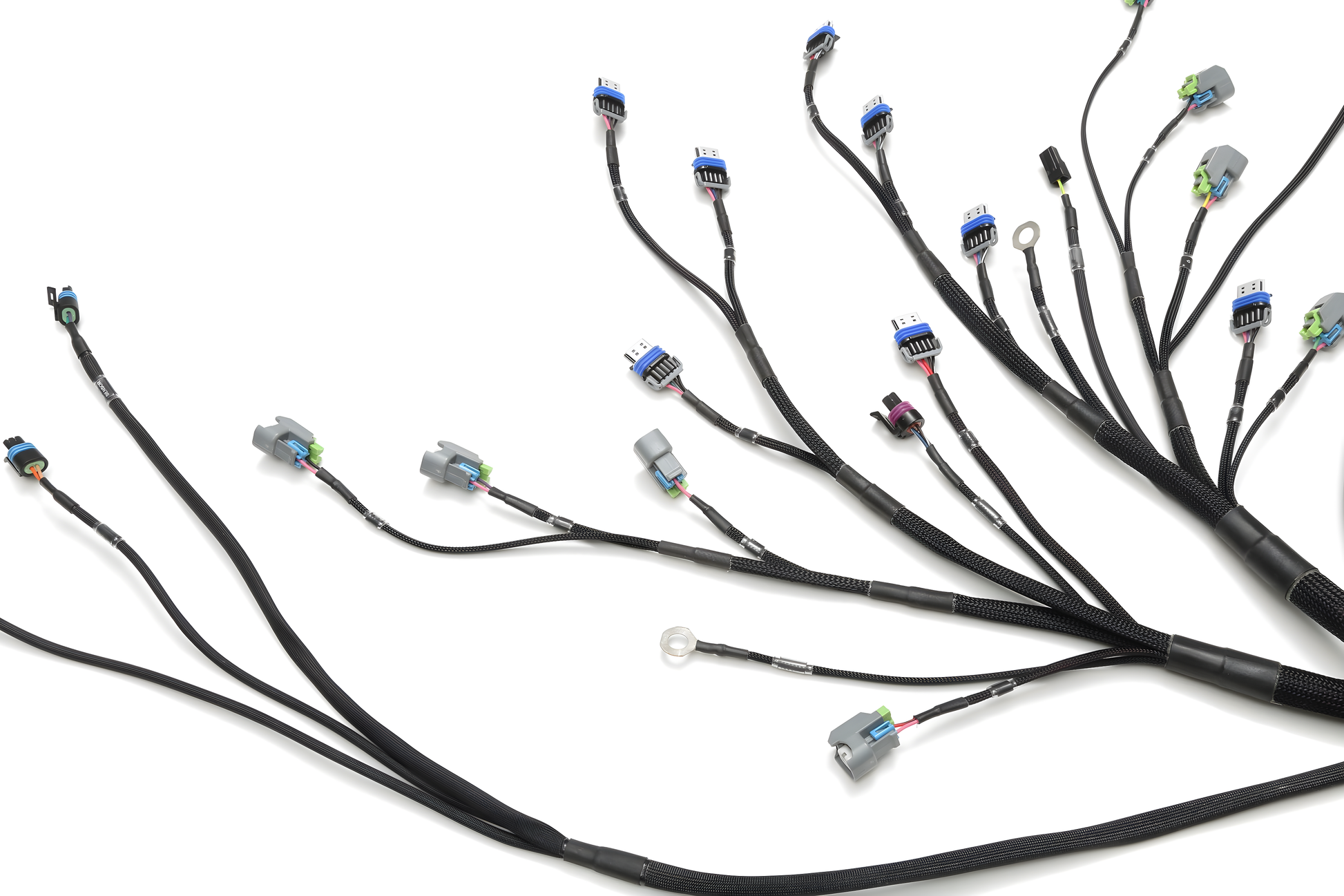 Wiring Specialties Pro Front - LS3 G37 PRO Series Harness WRS-PROLS3-G37