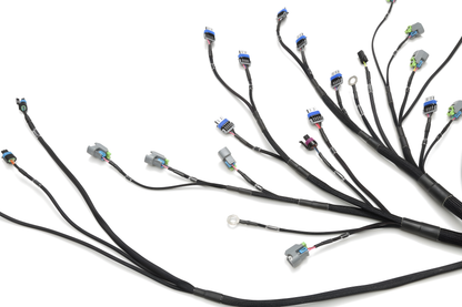 Wiring Specialties Pro Front - LS3 G37 PRO Series Harness WRS-PROLS3-G37