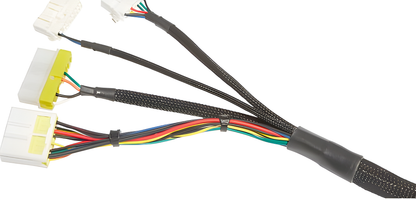 Wiring Specialties Pro Harness - RB20DET Harness for C33 Laurel (JDM RHD) - PRO SERIES WRS-PRORB20-C33