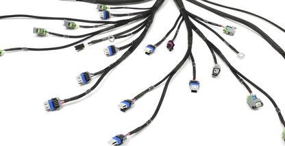 Wiring Specialties Pro Harness - LS3 Gen IV Harness for Datsun - PRO SERIES WRS-PROLS3-DAT