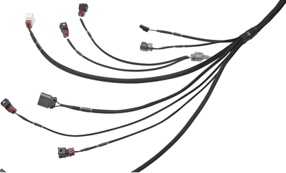 Wiring Specialties Pro Harness - Q45 VH45DE PRO Series Harness for Z32 LHD 300zx / Z32 RHD Fairlady Z – WRS-PROVH45-Z32