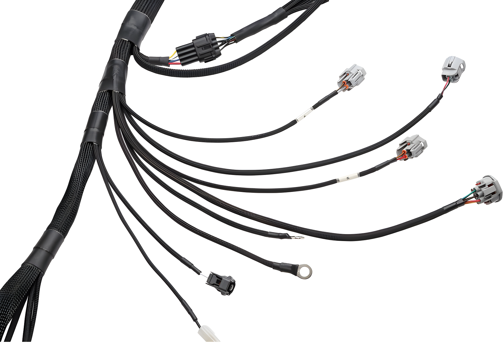 Wiring Specialties Pro Harness - 2JZGTE PRO Series Harness for USDM LHD V35 Infiniti G35 – Part WRS-PRO2JZ-G35