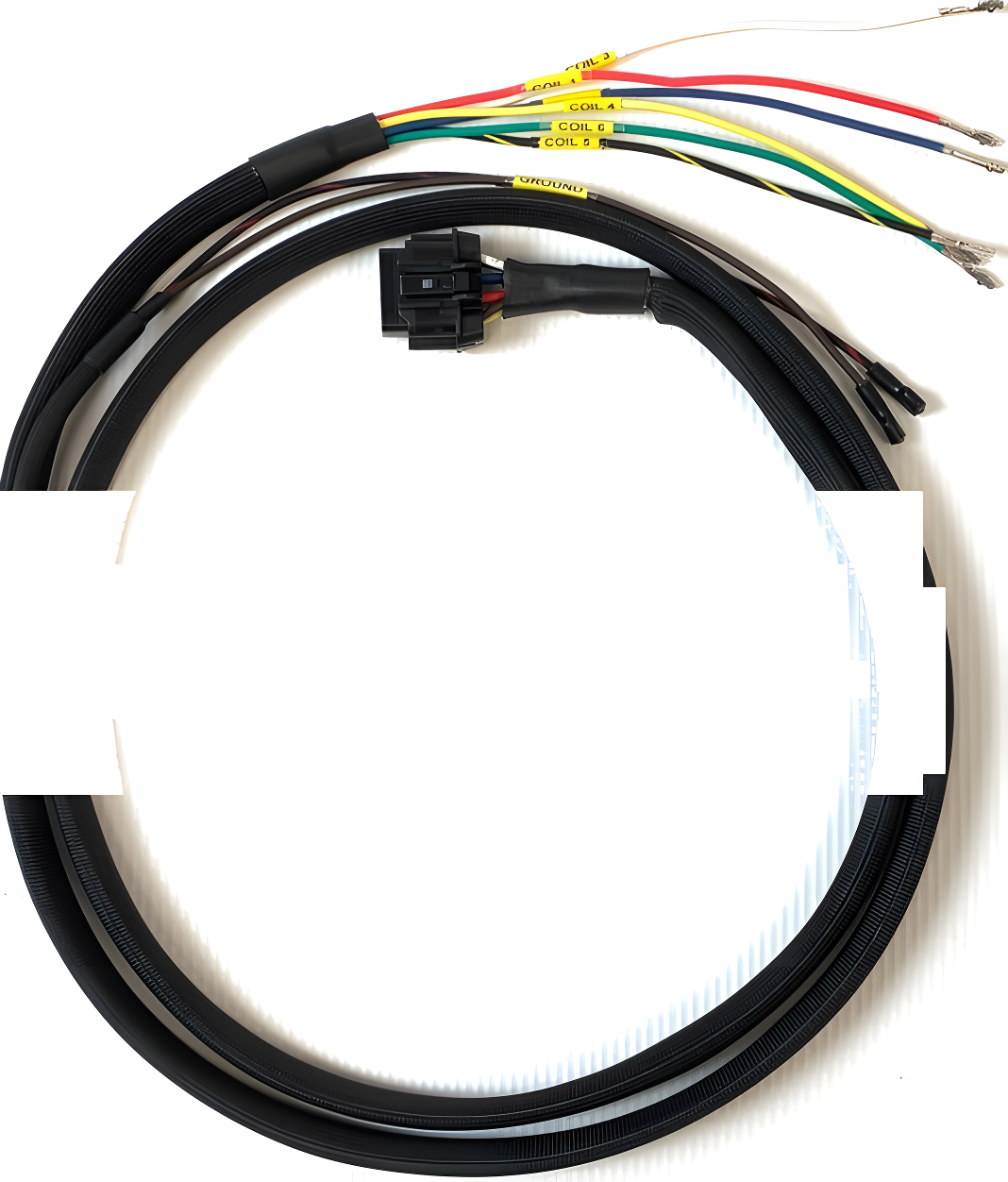 Wiring Specialties Pro Harness - 1JZGTE / 2JZ VVTI Harness PRO Series for Audi VAG R8 Smart Coil Conversion WRS-PRO-JZVVTI-CPH-R8