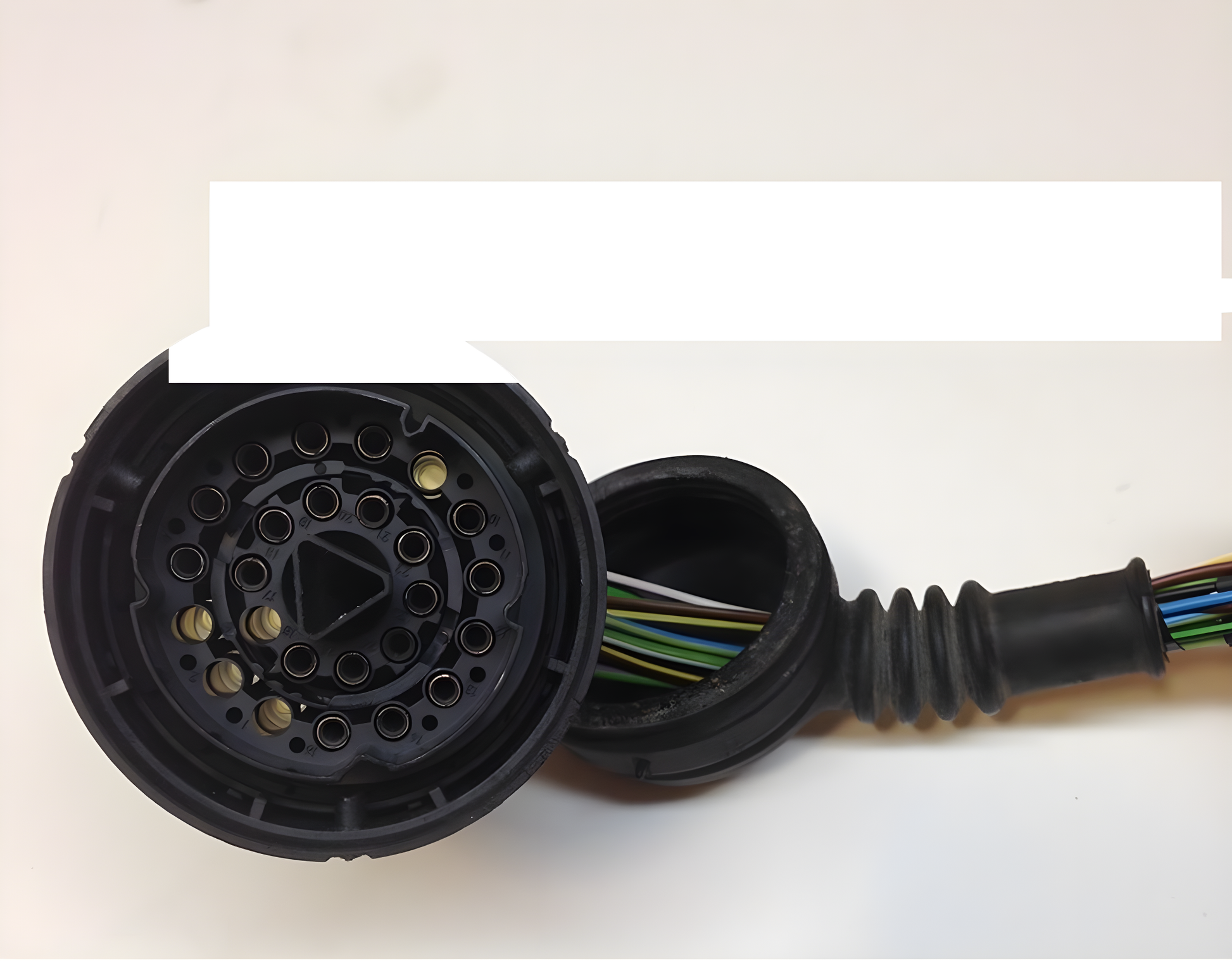 Wiring Specialties Pro Harness - K24 PRO Series Harness BMW E30 WRS-PROK20K24-E30