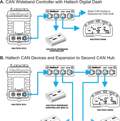 Wiring Specialties Product View - ECU Haltech Elite DTM4 CAN Hub HT-159000