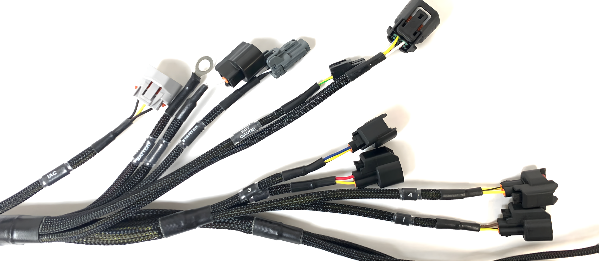 Wiring Specialties R32 Front - K24 PRO Series Harness R32 Skyline GTS WRS-PROK20K24-R32-GTS
