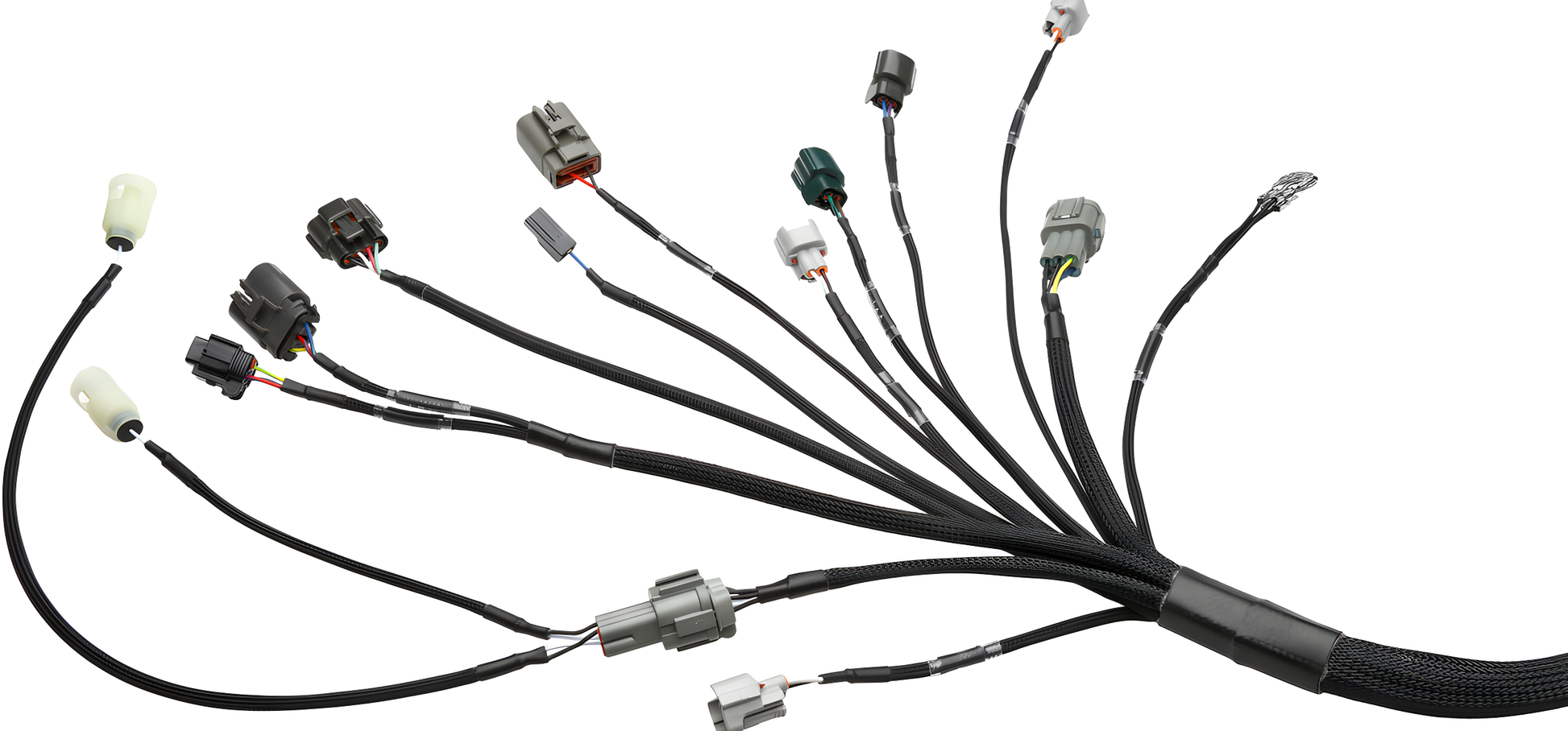 Wiring Specialties Rb25Det 350Z - RB25DET NEO Harness 350Z PRO Series WRS-PRORB25NEO-350Z